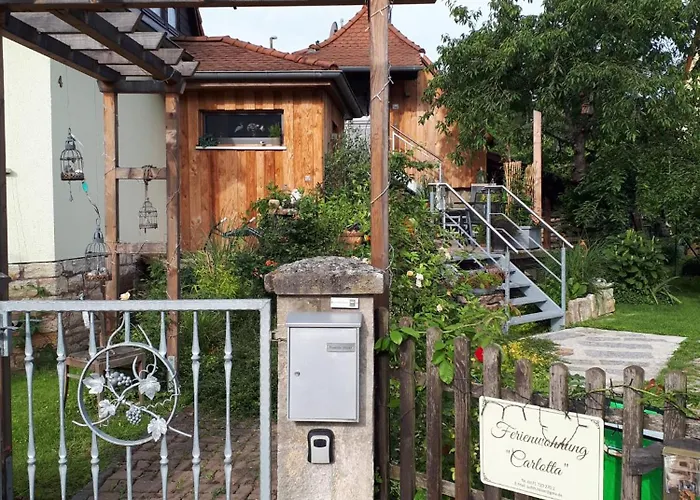 Daire Carlotta Freyburg